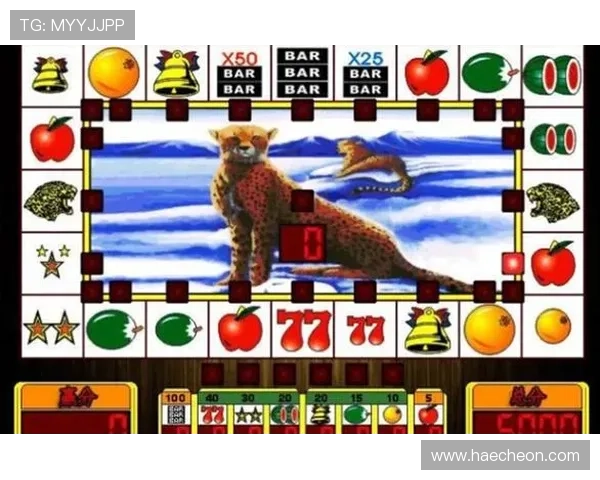 专家分享老虎机现金游戏中的策略与心得 专家分享老虎机现金游戏中的策略与心得