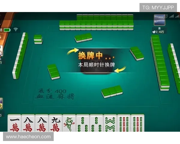 麻将胡了2模拟器操作指南，详细讲解每个功能键的使用方法和技巧